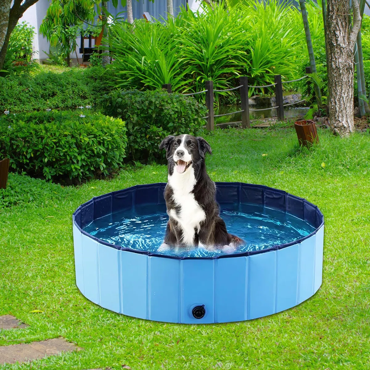 Piscina pieghevole per cani grandi e piccoli, da 80 x 20 cm, in PVC, piscinetta per cani, vasca per cani per interni, blu