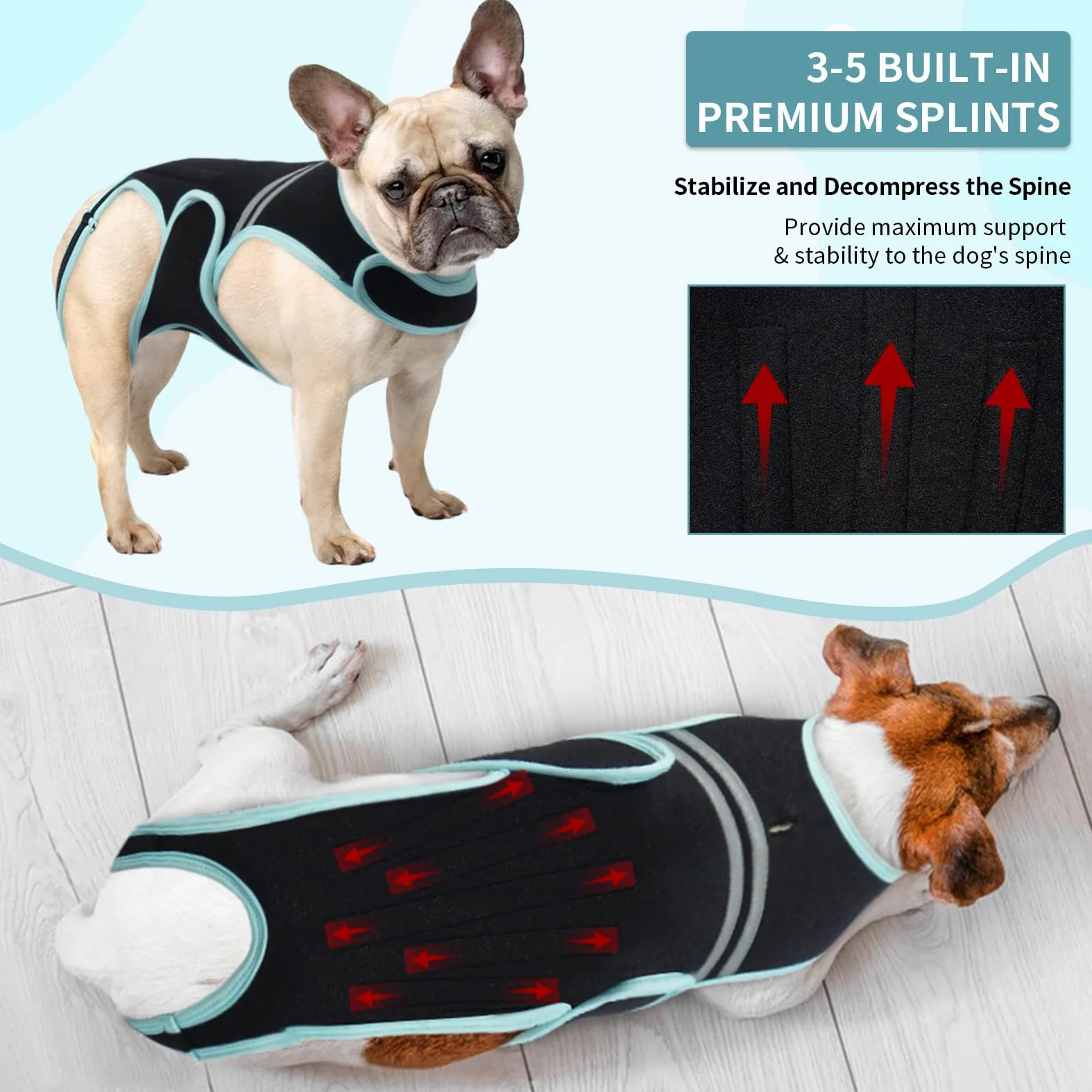 PUMYPOREITY Tutore per Schiena Cani IVDD, Busto per Schiena Cani, Gilet di Supporto per Schiena Bassotti, Artrite IVDD, Ernia del Disco, Recupero Chirurgico Spinale(M)