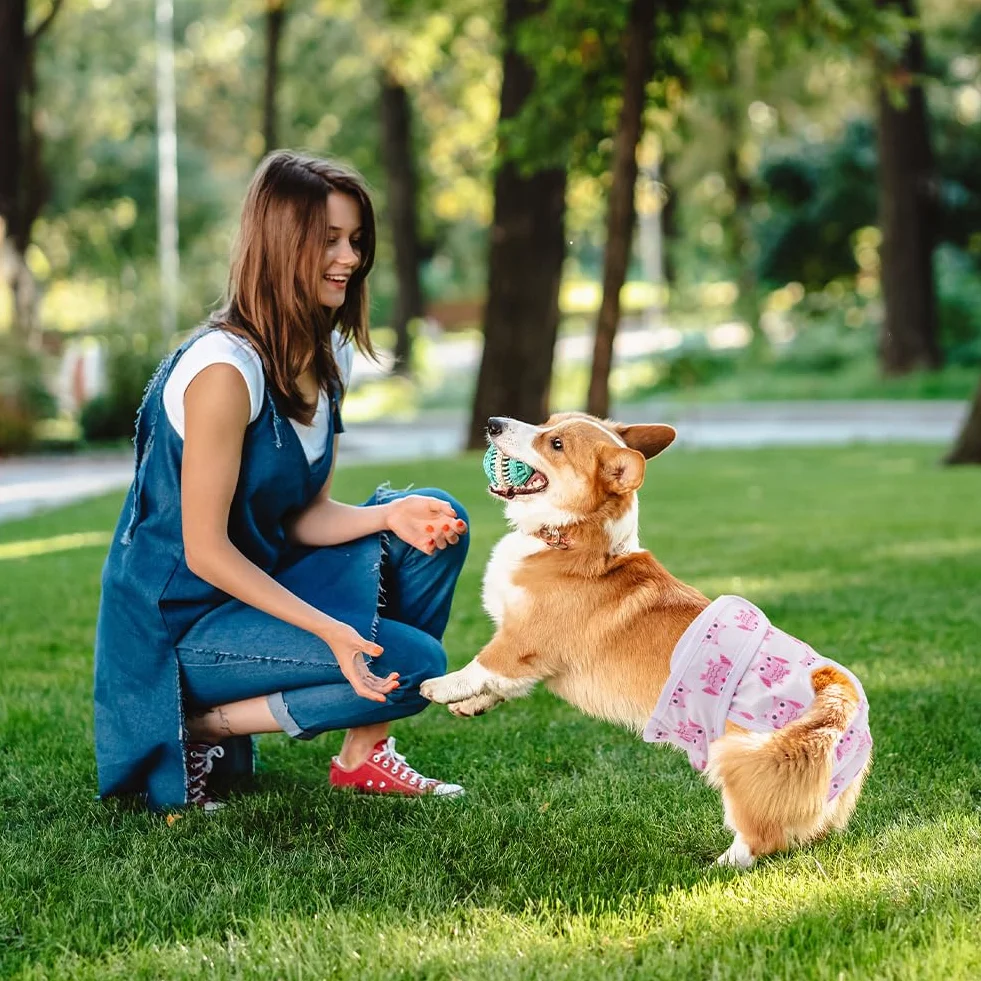 Aomig Lavabili Pannolini per Cani Femmina, 3 PZ Pannolini Animali Cane Riutilizzabili, Pannolino Mutande Mestruali Cane Altamente Assorbenti Ciclo, Pantaloni Mestruali Igienici per Cani di Piccola (L)