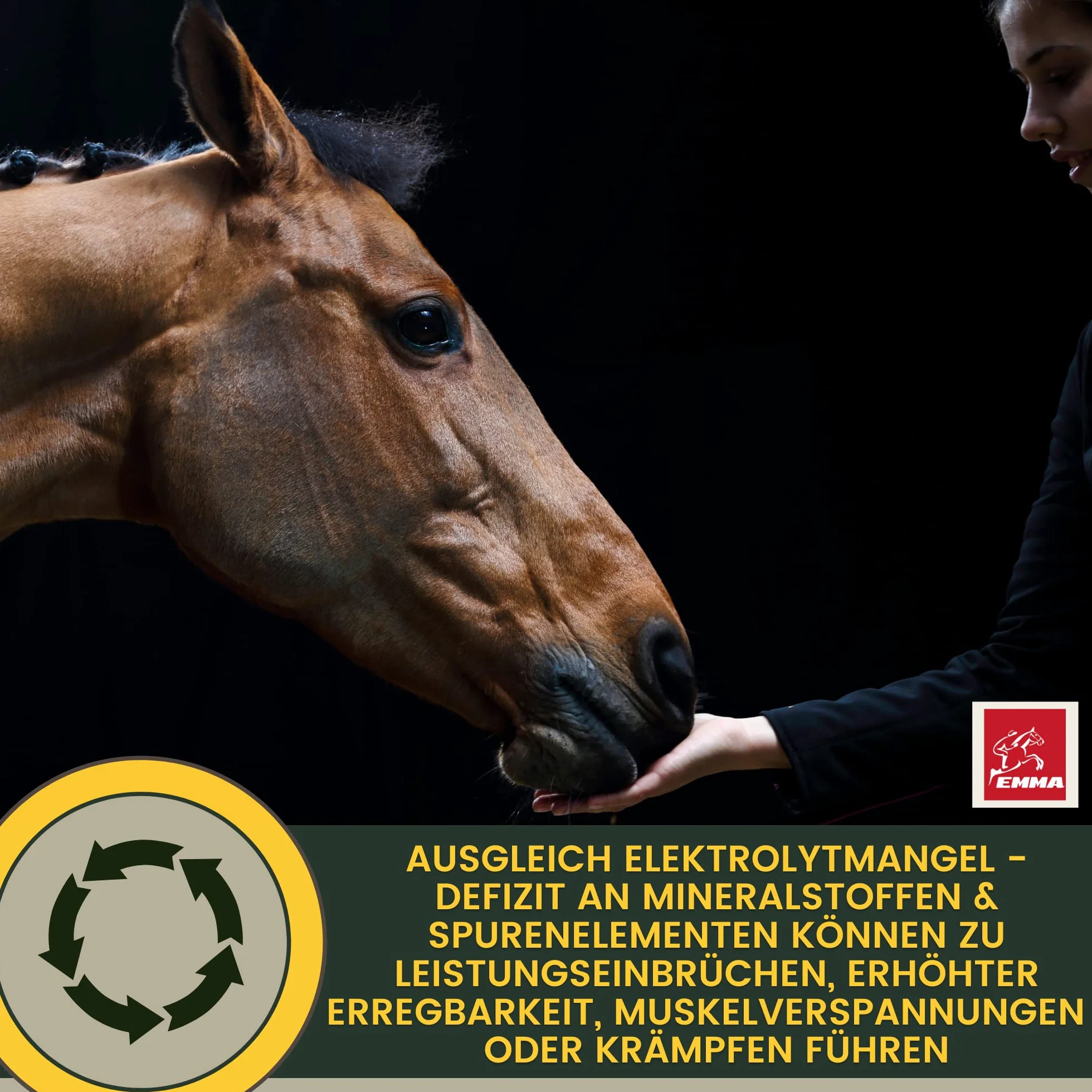 Elettroliti liquidi + pasta I elettroliti cavallo minerali vitamina B12 oligoelementi I sali di sodio magnesio cavallo I elettroliti diarrea vomito acqua sudorazione I sali minerali cavallo 1L 30ml