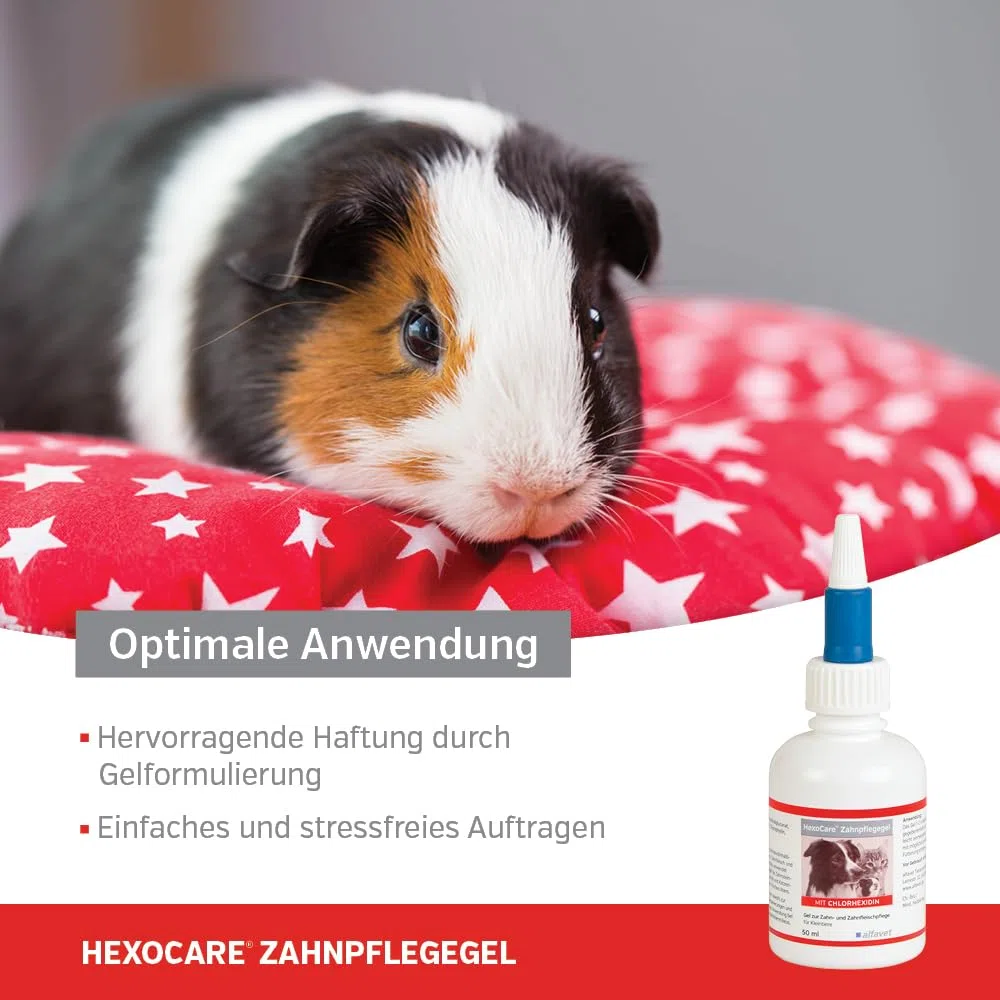 Alfavet HexoCare Gel per igiene orale (50 ml) – gel dentale per cani, gatti e piccoli animali – con clorexidina, Tris-EDTA ed erba gatta – cura quotidiana di denti e gengive