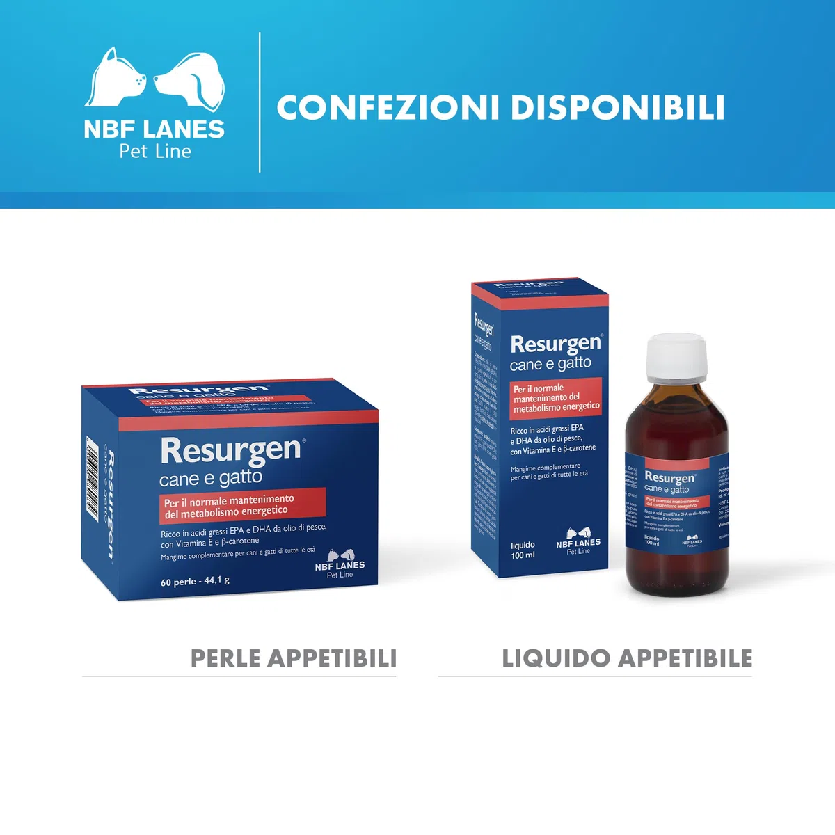 NBF Lanes | Resurgen Cane e Gatto, 60 Perle Appetibili, per il Normale Mantenimento del Metabolismo Energetico