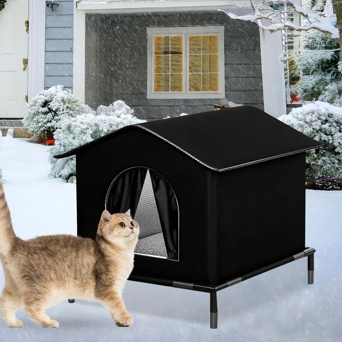 Cuccia Gatto Esterno Sollevata Cuccia Per Gatti All'aperto Impermeabile Resistente Alla Pioggia E Al Freddo Casetta Per Felini Letto Caldo Per Gatti In Inverno Ideale Autunno Inverno