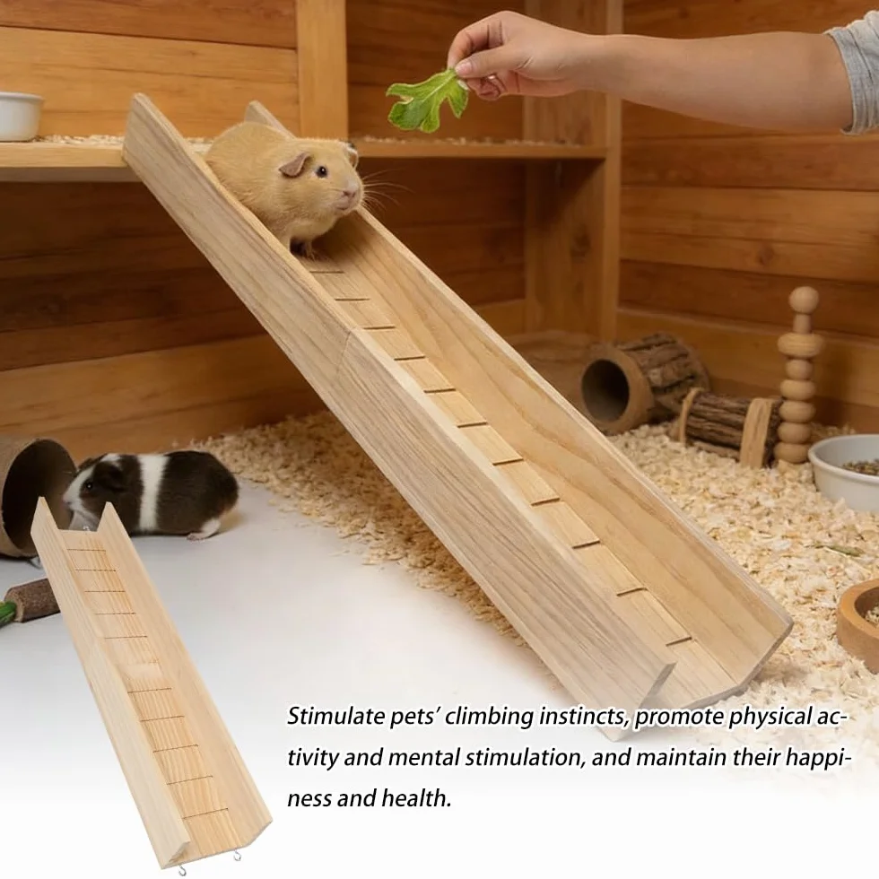Rampa per Gabbia Coniglio 60cm Ponte di Legno per Roditori Rampa per Gabbia per Porcellini d'India, Ponte Sospeso per Criceti Rampa per Cavie, Criceti, Ratti, Cincillà e Scoiattoli