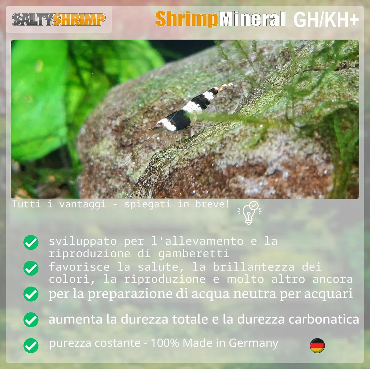 Shrimp mineral GH/KH+