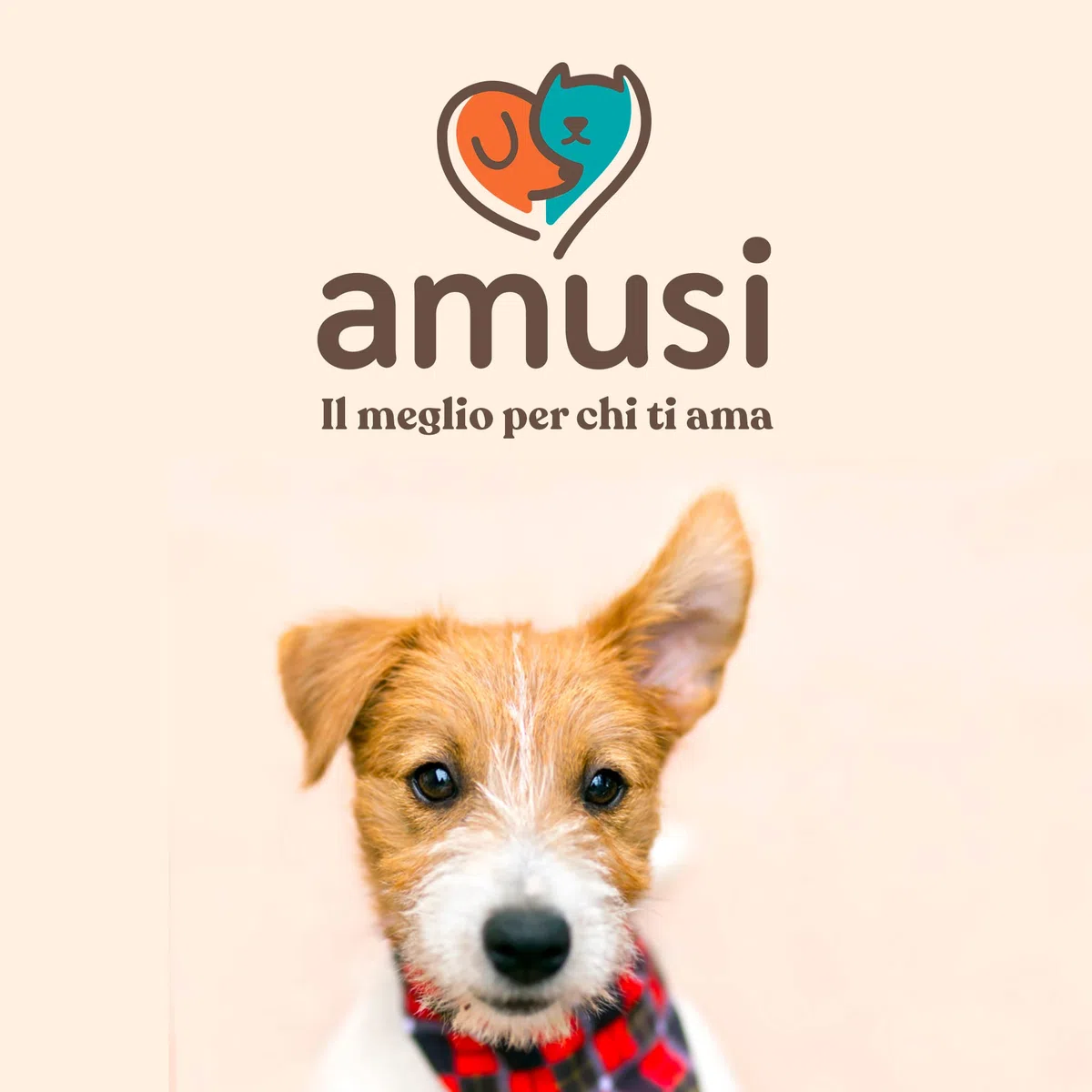 amusi Olio di Neem per Cani - 500 ml - Spray per cani - Protezione naturale - Spray contro zecche mosche acari pidocchi - Repellente zecche per cani - Olio neem cane 100% naturale