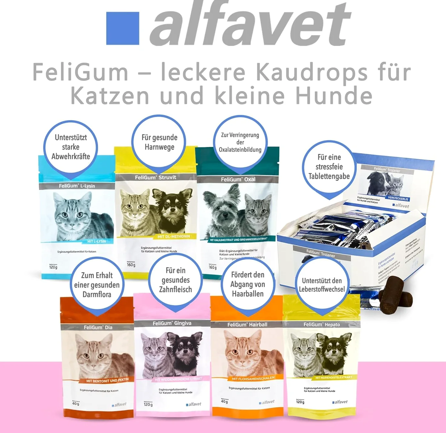 Alfavet FeliGum Gingiva (120 g) – alimento complementare per cani e gatti – soft drops per gengive e cavità orale – con Omega-3, vitamina E ed estratto di salice