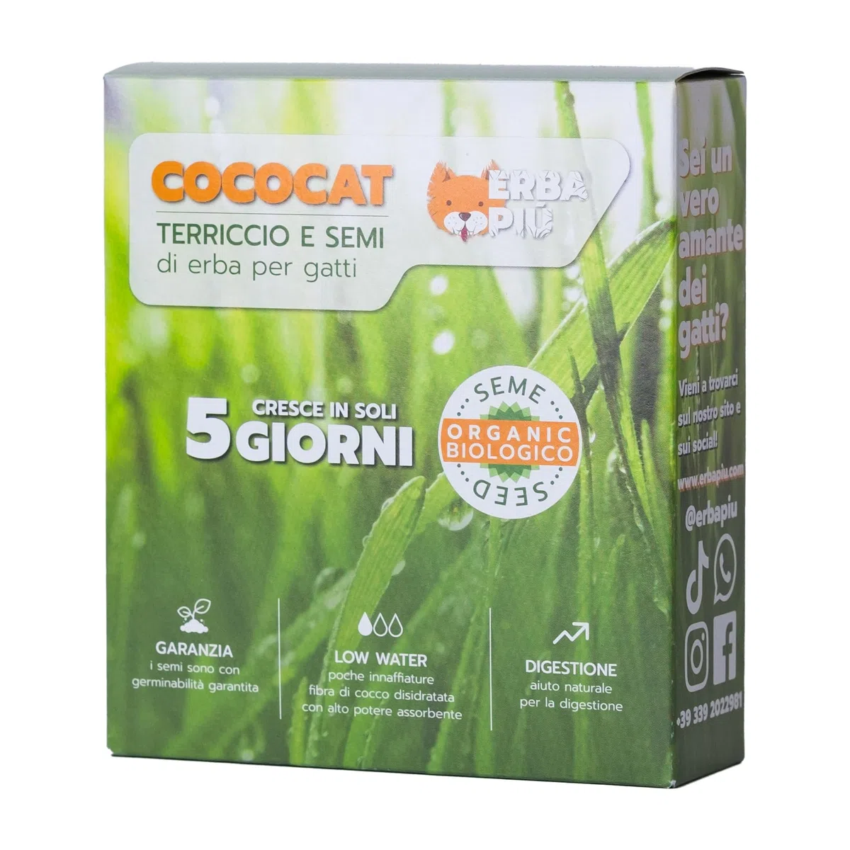 BUNDLE 7+1 Cococat, Kit di Semina per Gatti con Fibra di Cocco, Crescita in 5 Giorni, Senza Plastica, con Semi Biologici e Terriccio Naturale