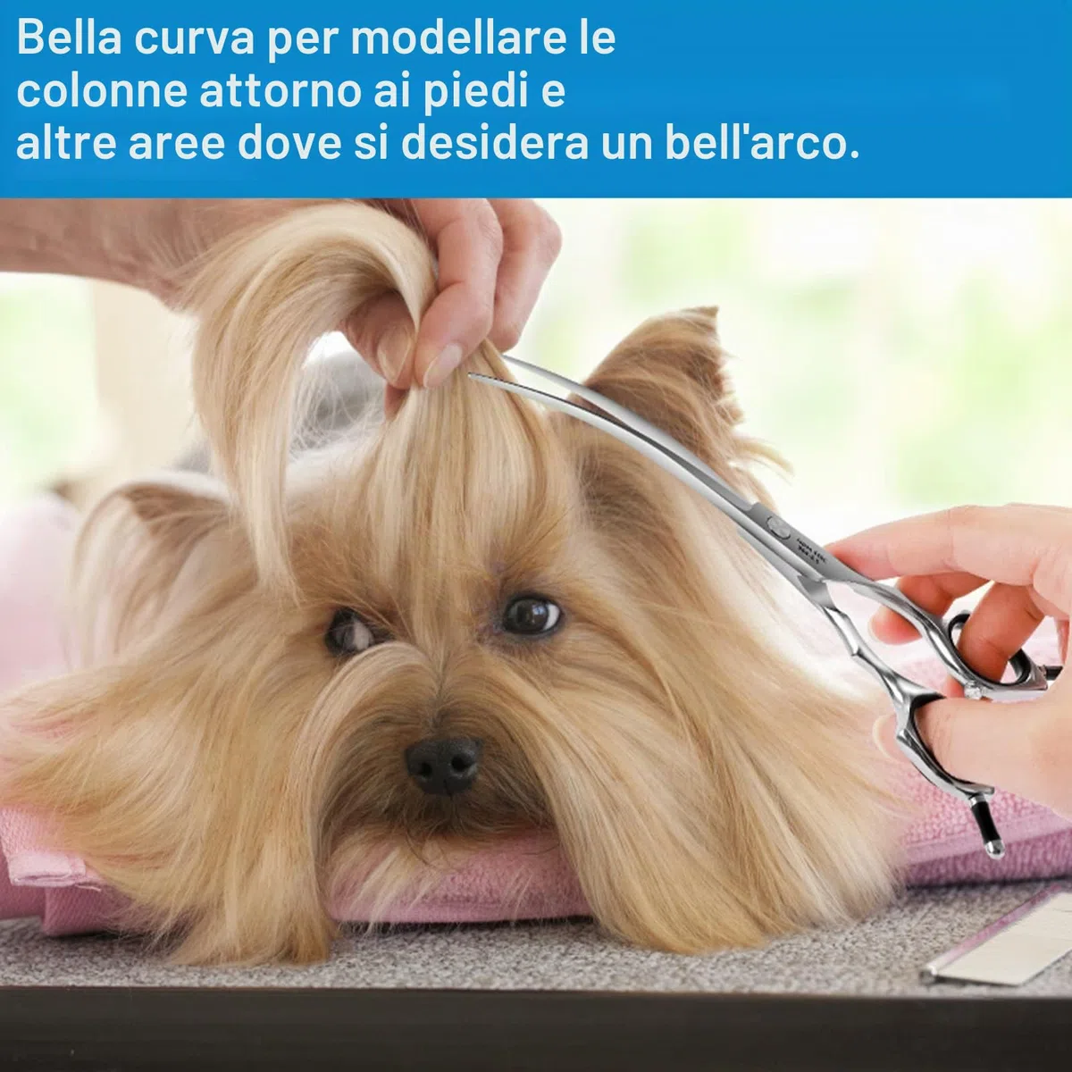 HASHIMOTO Forbici curve per la toelettatura del cane, 6,5 pollici, 30 gradi di lama curva, peso leggero, cesoie per animali domestici per la rifinitura di viso e zampe.