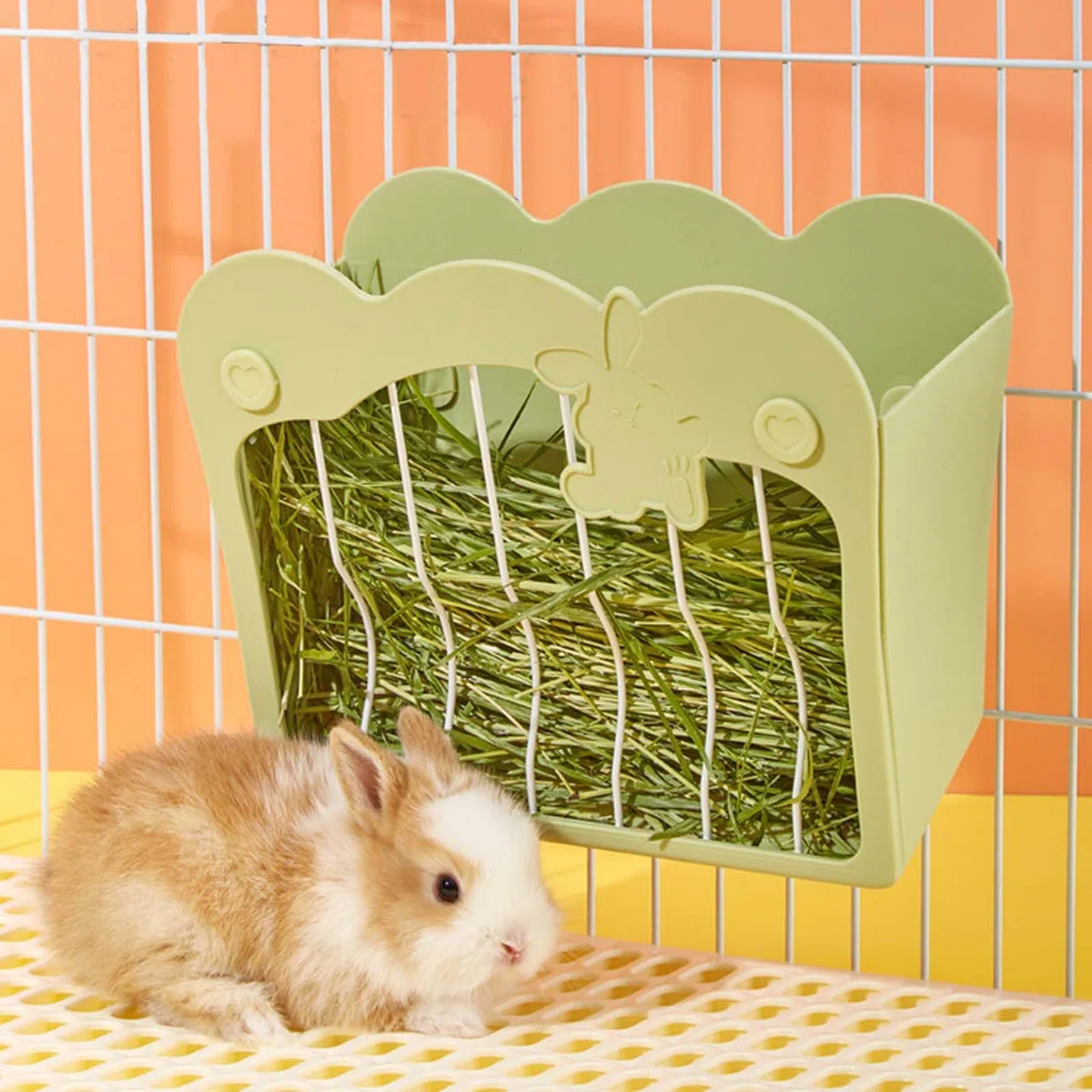 Portafieno per Conigli e Porcellini d'India, Porta Fieno da Appendere per Piccoli Animali