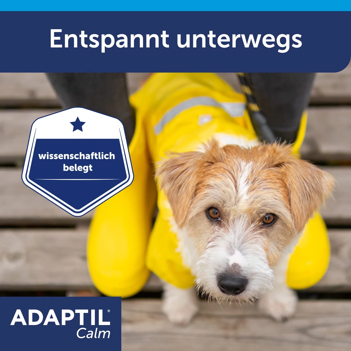ADAPTIL Calm collare per cani di piccola taglia
