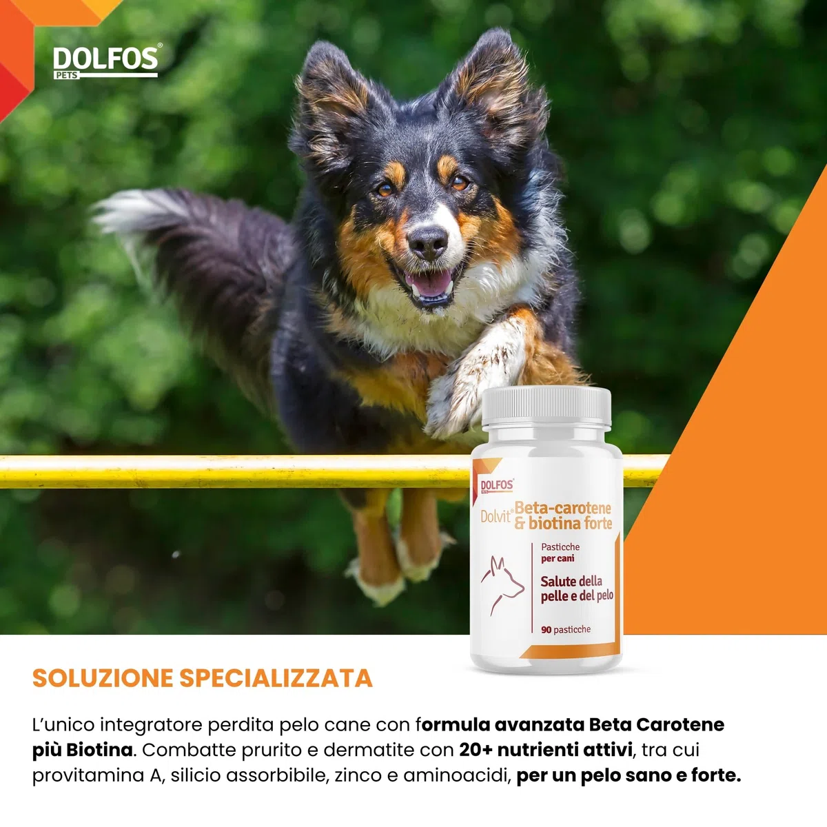 Dolvit Beta Carotene & Biotin Forte 90 CPR, Integratore Pelo Cane e Vista, Antiprurito per Cani e Supporto per Dermatite, Beta Carotene Integratore con Biotina per Pelle e Pelo, Rimedi Dermatite Cane