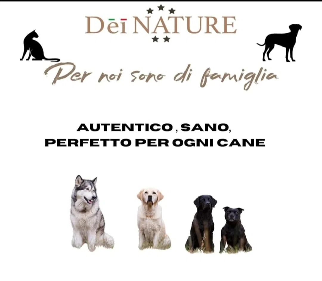 Pelle di Testa di Bovino Naturale, strisce da 12 cm-Masticativo per Cani, CONFEZIONE DA 1 KG -Adatto dieta barf