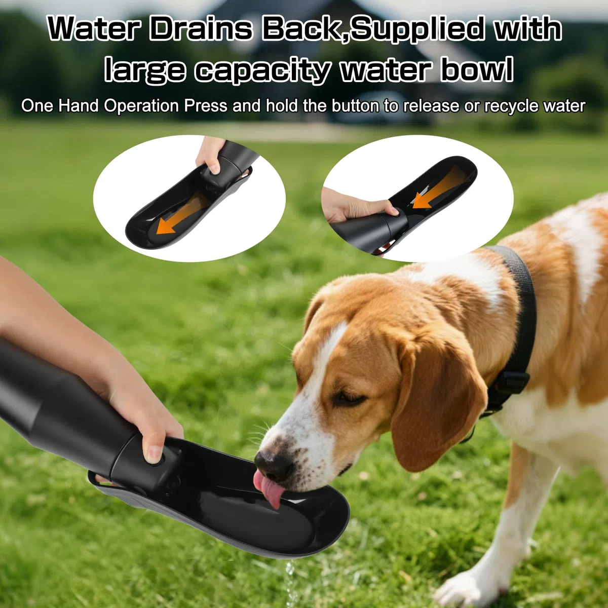 Borraccia Cane Portatile, 750ml Bottiglia per Cani da Viaggio, Borraccia Per Cani Isolato in Acciaio Inox, Bottiglia Cane per Camminare, Viaggiare, Campeggiare