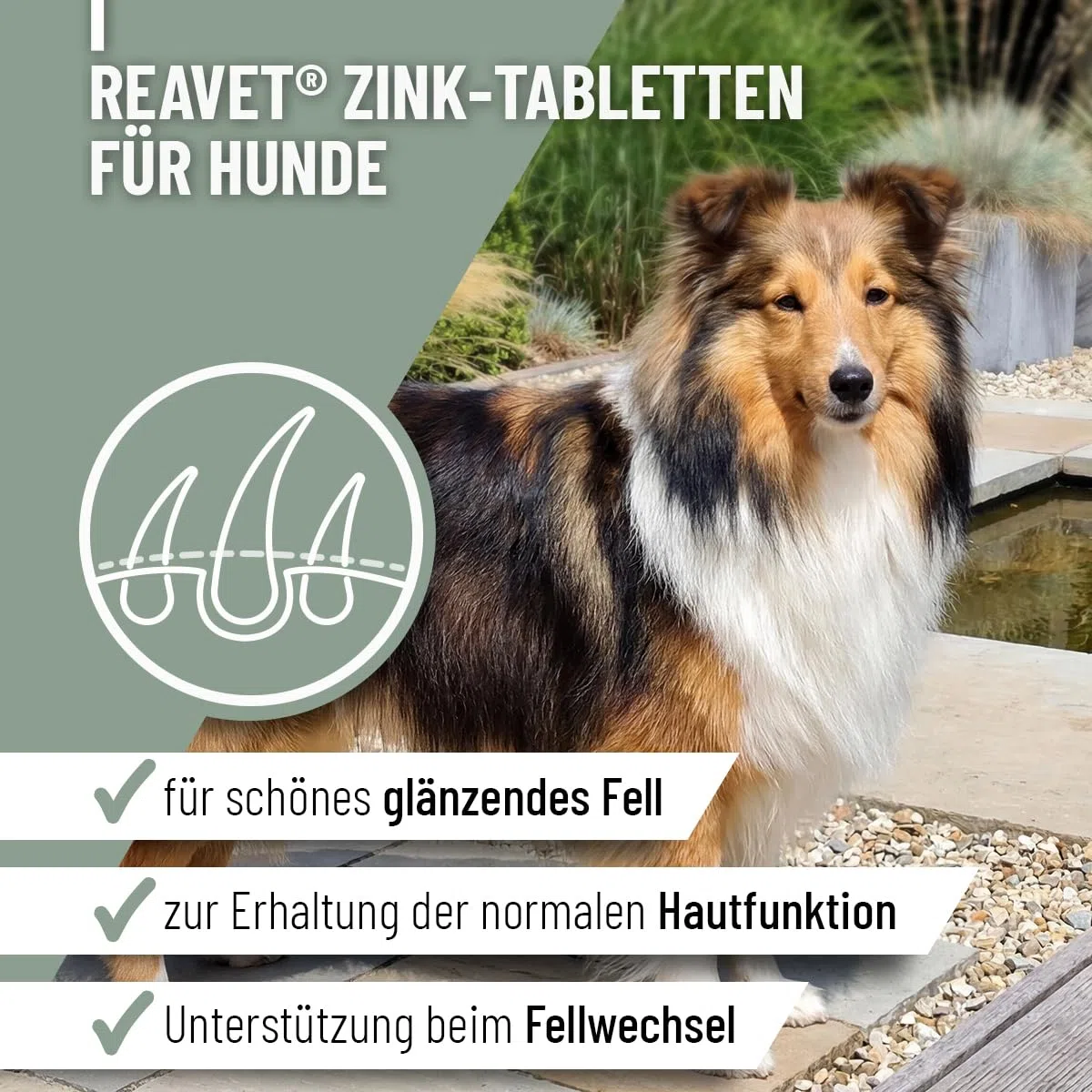 ReaVET 120 compresse di zinco per cani – ad alto dosaggio con vitamina C & E, compresse di zinco Plus vitamine per pelle secca, perdita di capelli, zinco cane per artigli e pellicce