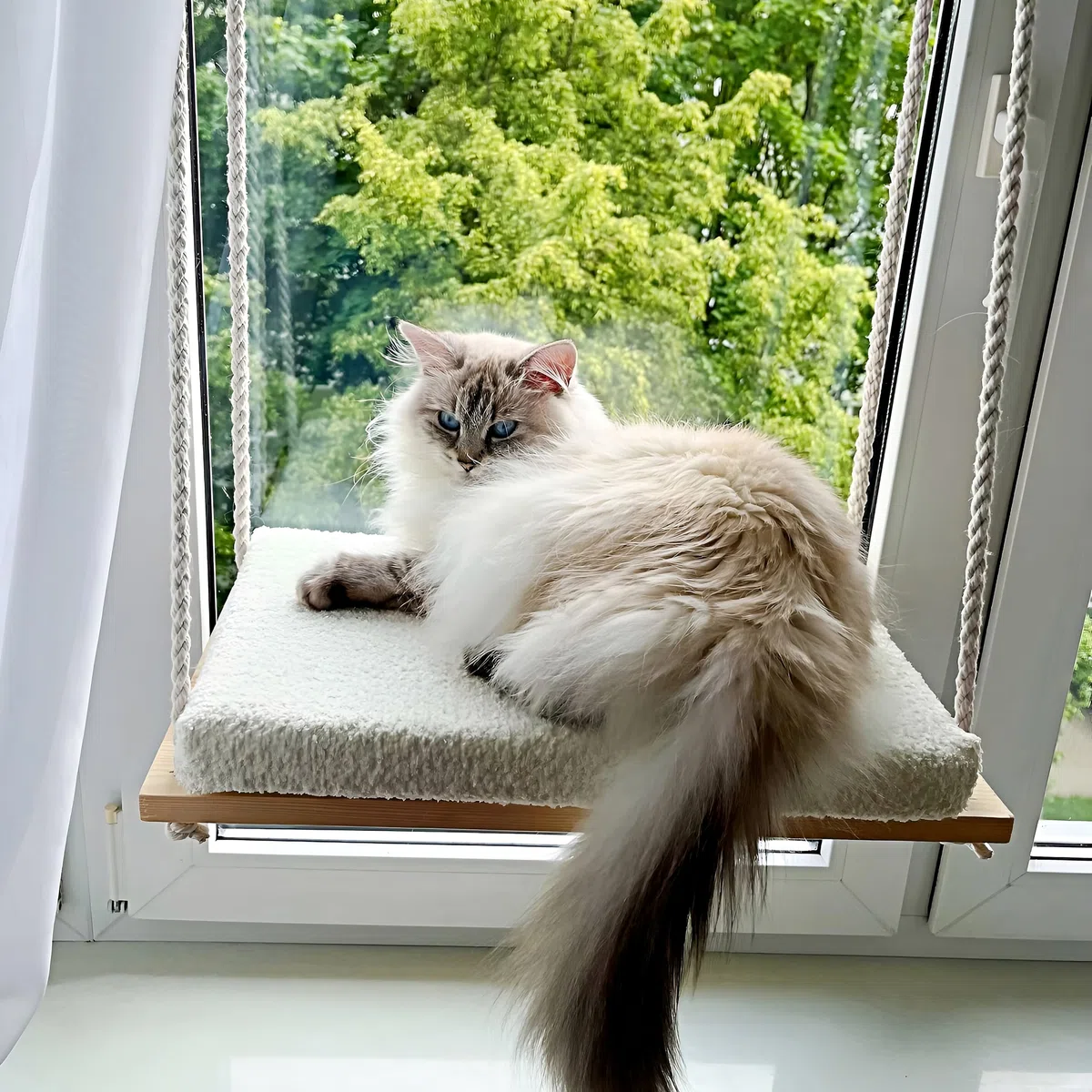 Amaca per Gatti da Finestra | Amaca per Gatti | Cucce per Gatto da Interno | Amaca da Finestra per Gatto | Amaca Finestra con Ventose Resistenti 18 kg Lavabile | Cat Bed | Cat window hammock mirador
