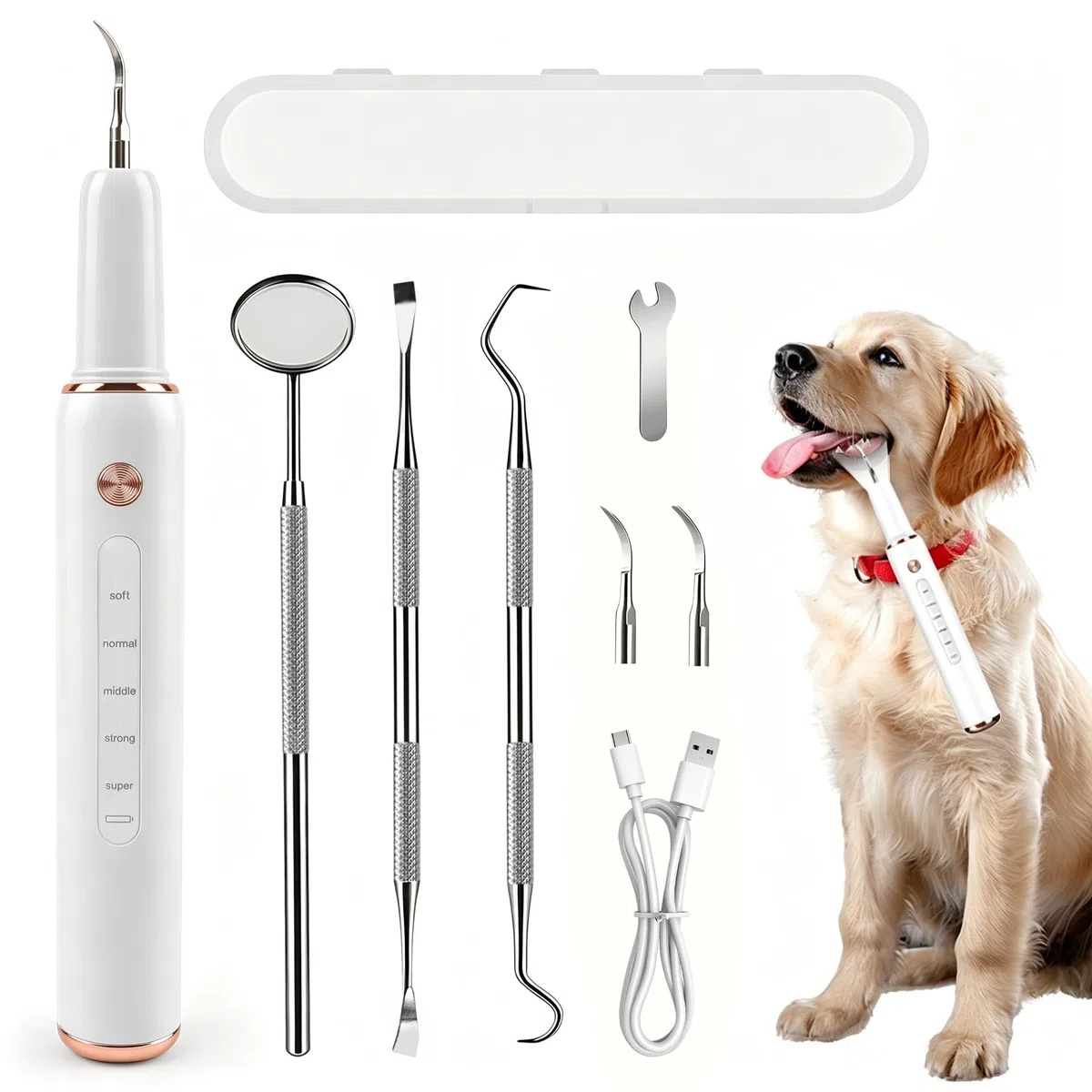 FIVAVA Pulizia Denti Cane, Pulizia Denti Tartaro per Cani e Gatti, Kit Pulizia Denti, 5 Modalità di Pulizia, Rimuove il Tartaro, Ricaricabile (Bianco)