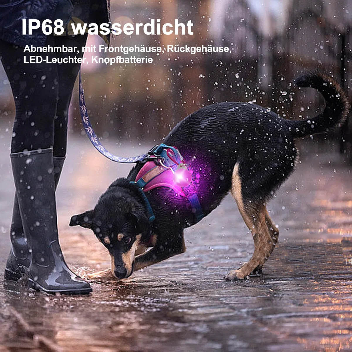 HOSPAOP LED Leuchtanhänger per cani, 14 pezzi Luce di sicurezza per cani con 3 modalità di illuminazione, luce lampeggiante per collare per cani, zaini per bambini, gatti, jogger