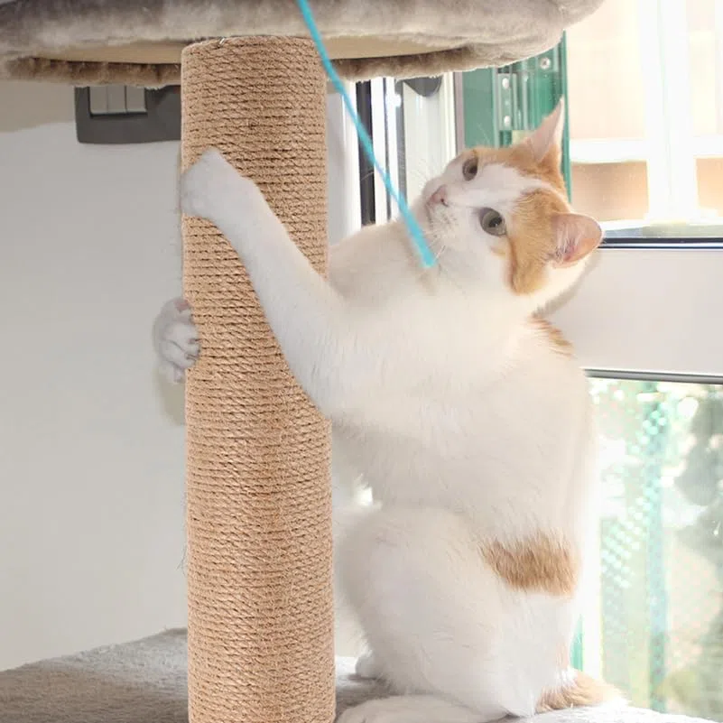 Yardwe Tiragraffi Per Gatti Da Interno Verticale in Corda Di Iuta Naturale 40 Cm Palo Di Ricambio Robusto Per Protezione Mobili e Benessere Felino