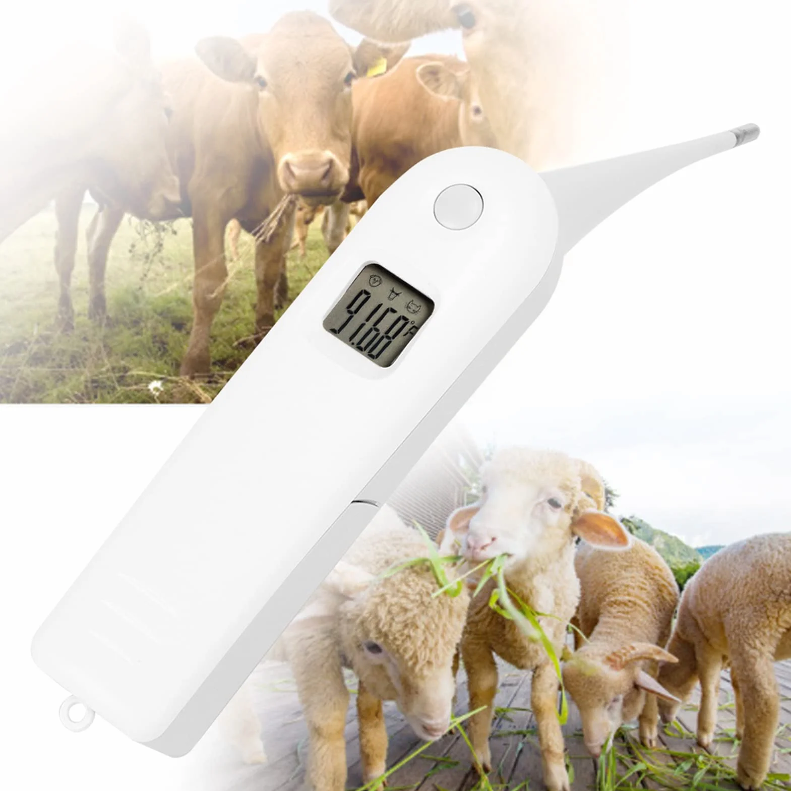Tiiyee Termometro Per Animali Domestici, Digitale Domestici Gatti Acolari Cani Forniture Tecnologiche Veterinari Febbre Proprietari Cavalli Sonda Temperatura Flessibile Con Punta Tonda Impermeabile