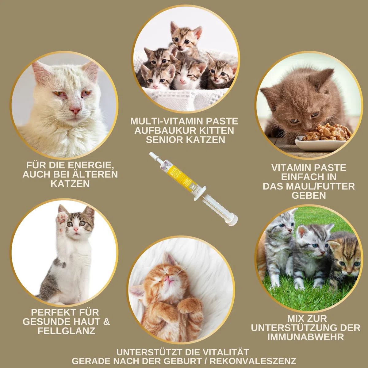 Gatti Multi Vitamine I Pasta vitaminica per gatti 15ml I Complesso vitaminico B altamente dosato per gatti I Vitamine B con vitamina A D C I Energia per anziani Gatto Booster vitaminico