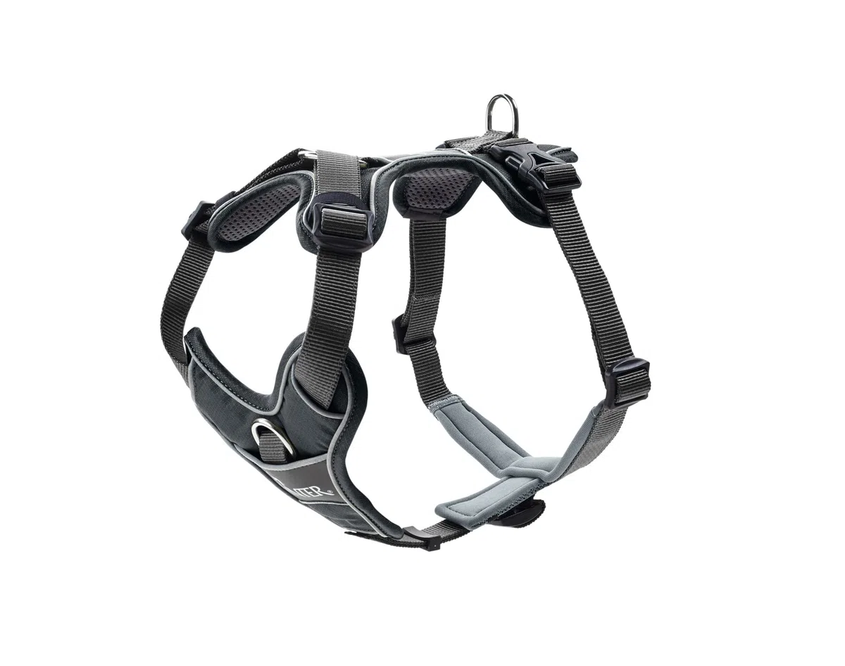 HUNTER pettorina per cani DIVO, Colore: grigio/grigio, ergonomico, traspirante e imbottito, regolabile in 5 punti, materiale riflettente 3M™ Scotchlite™, Taglia: S