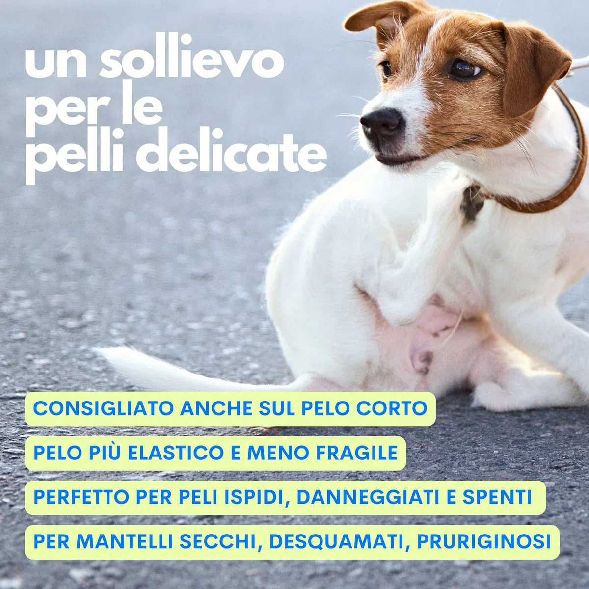 JAMPY Spray Districante Nutriente Per Cani. Scioglie i Nodi - Idrata - Rimpolpa - Lucida il Pelo. Formula Ipoallergenica con Cheratina, Lisina e Acidi della Frutta. 97% Naturale. Senza plastica.