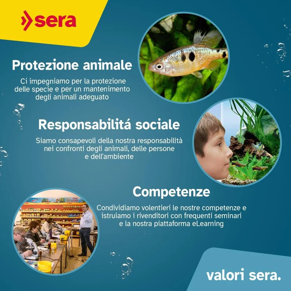 sera pleco chips 1 L | mangime in chips 1.000 ml | mangime per pesci gatto | mangime completo per Ancistrus e Loricaridi e altri pesci da fondo | alta appetibilità