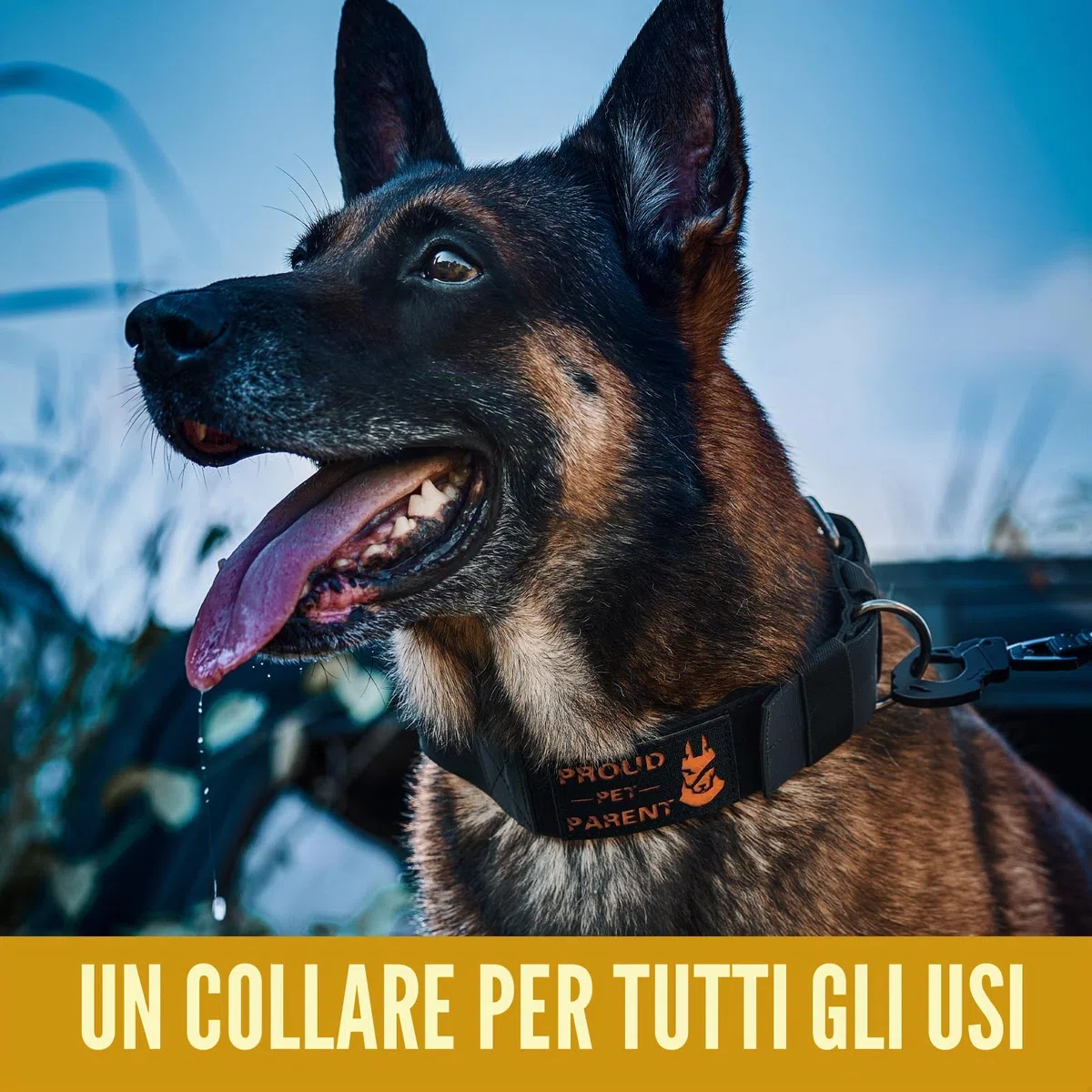 OneTigris Collare per cane largo 5 cm, con manico e toppa per cani di grandi dimensioni, nero, taglia L