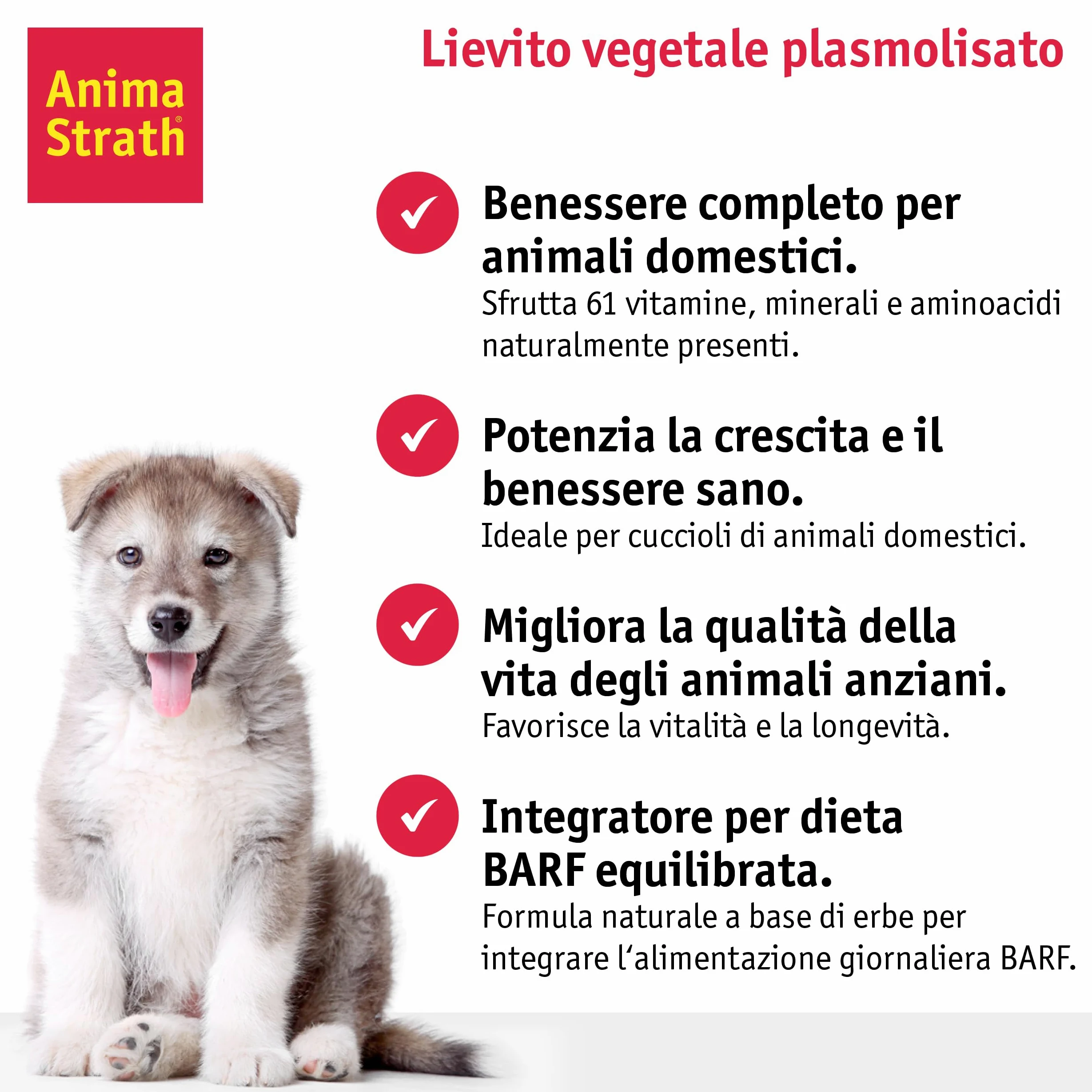 Anima Strath Integratore Tavolette per Cani - (80 Compresse) 61 Nutrienti, Vitamine, Minerali, Aminoacidi, Integratore Naturale per il Sistema Immunitario e la Digestione.