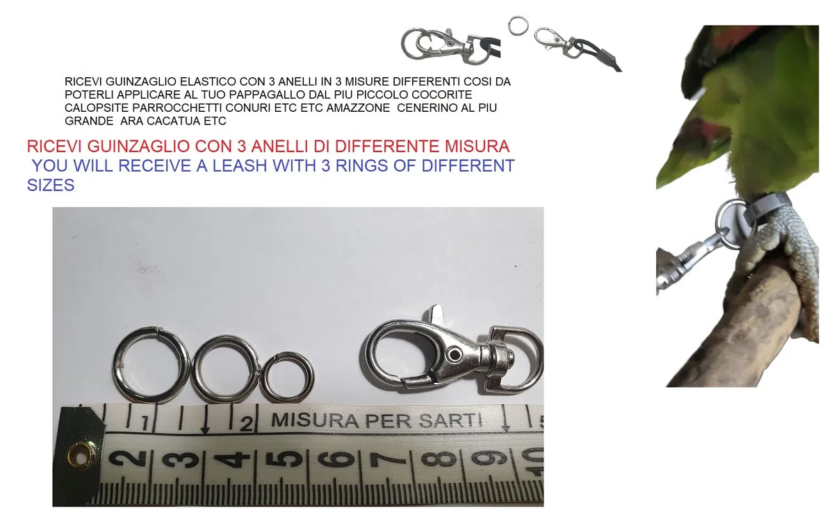laccio elastico CORDA 3MM x 1 METRO CON MOSCHETTONE ED ANELLO DA INSERIRE AD ANELLO DELLA ZAMPA DEL TUO PAPPAGALLO per portarlo IN GIRO (nero)