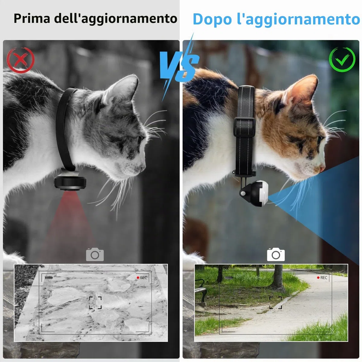 HD 1080P Cat Camera Collare con Registrazione Video, Mini Macchina Fotografica Wireless Sportiva, Piccole Telecamere di Azione, Corpo Camera per Pet Supplies, Articoli per