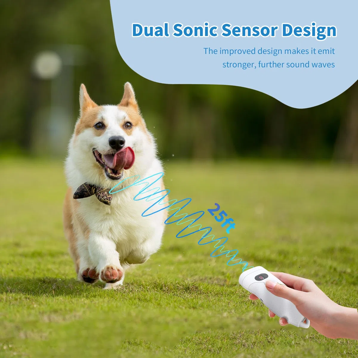 Ankrs Portatile Ultrasuoni Antiabbaio per Cani, Controllo dell'abbaio da Esterno, 9 Livello Regorabile, Portata 7,6M, USB Ricaricabile, Dispositivo di Addestramento Cani con Torcia LED (Bianco)