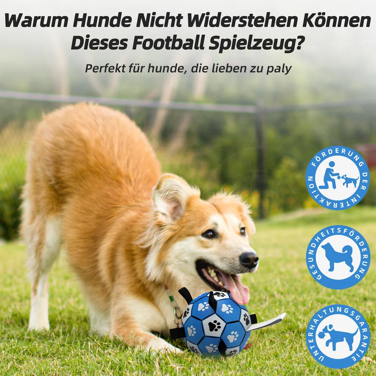 HETOO Palla per cani con manico per cani, traino interattivo di guerra, acqua, giocattolo di compleanno, per cani medi/grandi (8 pollici, blu grigio)