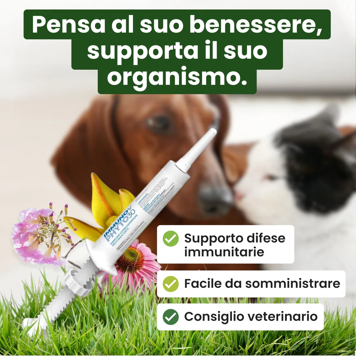 Trebifarma Immunov Phyto Pasta per Cani e Gatti – Supporto Naturale alle Difese Immunitarie – Mangime Complementare per il Sistema Immunitario – Siringa Graduata Multidose da 30g