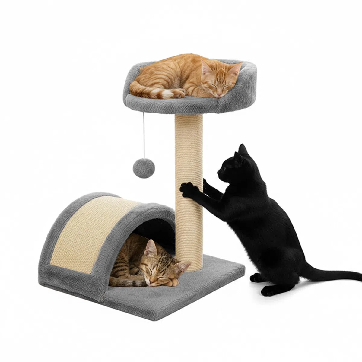 Avilia Tiragraffi per Gatti 50 cm – Albero Tiragraffi con Piattaforma Imbottita, Pallina Pendente e Sisal Naturale, Trespolo per Gatti Compatto Salvaspazio, Giochi Gatto 3 in 1, Protezione Divano