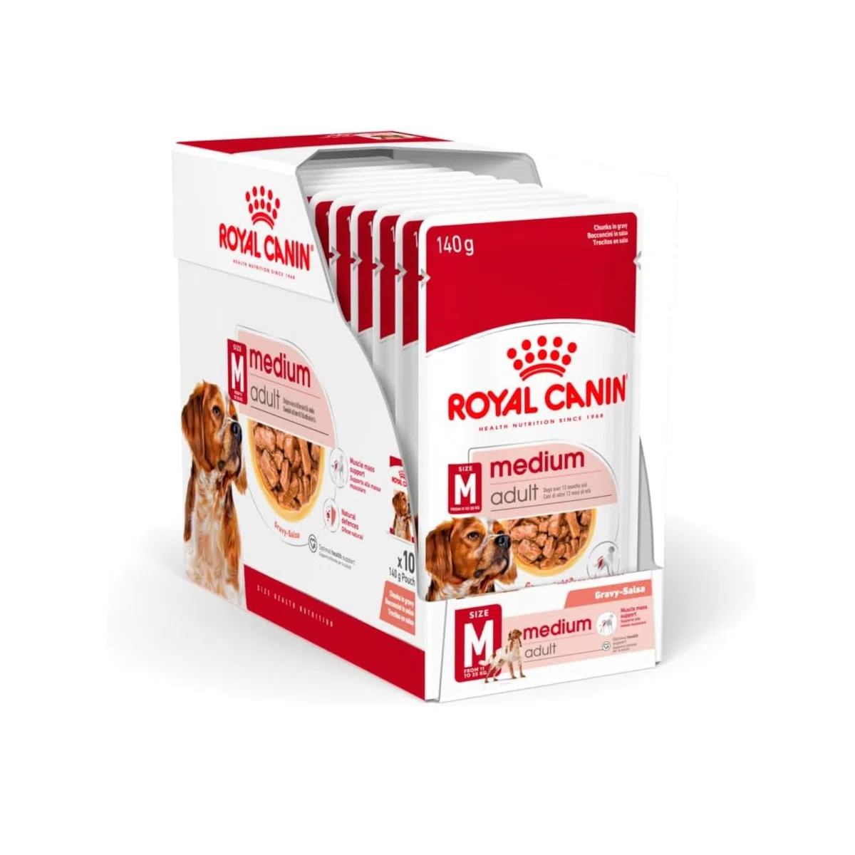 Royal Canin Medium Adult | 10 x 140g | Alimento completo per cani adulti di taglia media da 11 a 25 kg | Da 12 mesi a 10 anni