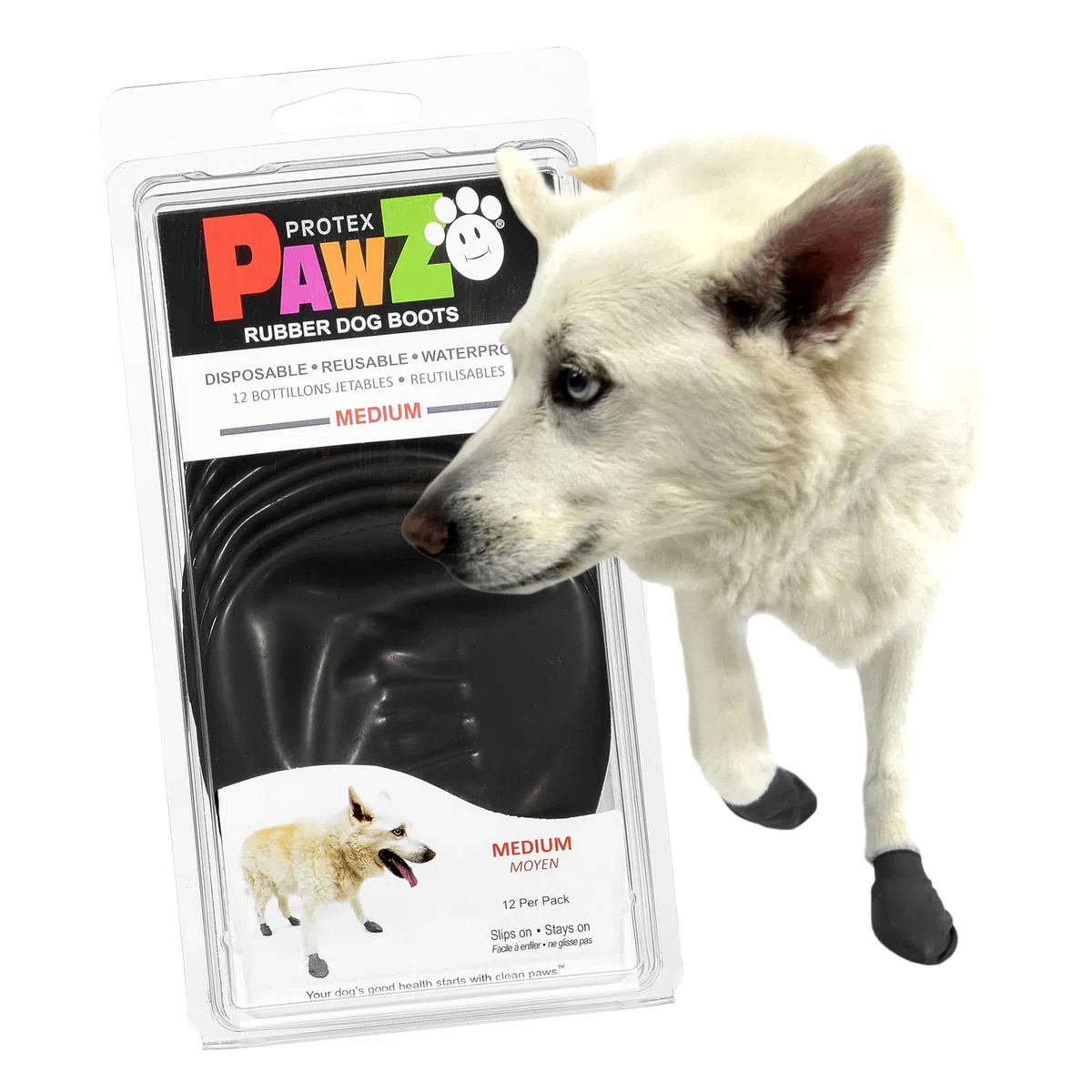 PAWZ Scarpette Nere M