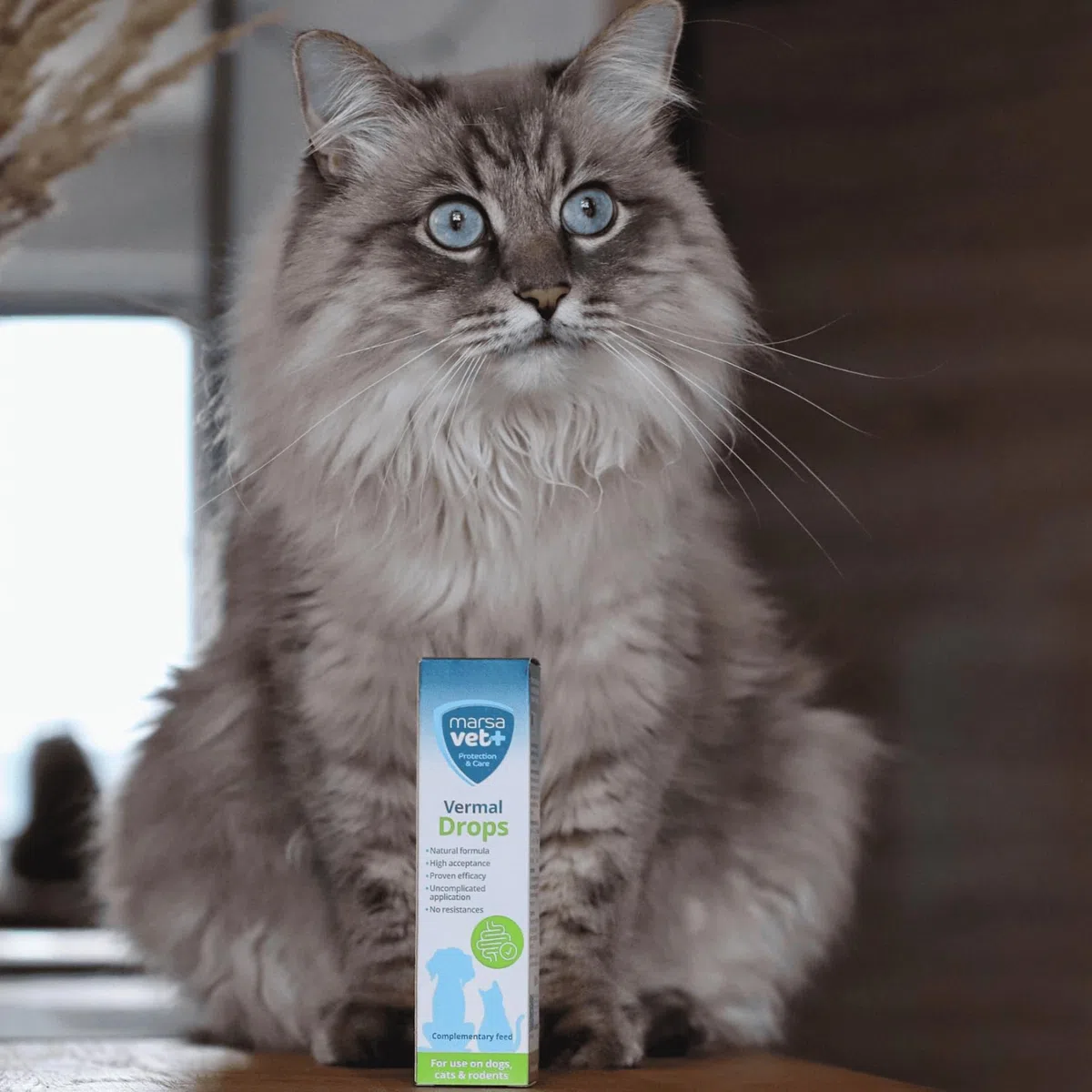 marsavet+ Vermal Gocce 50 ml – Soluzione Naturale per Ambiente Intestinale Sfavorevole ai Vermi, Aiuta Contro Giardia, Rimedio per Vermi e Parassiti Intestinali per Cani, Gatti e Roditori