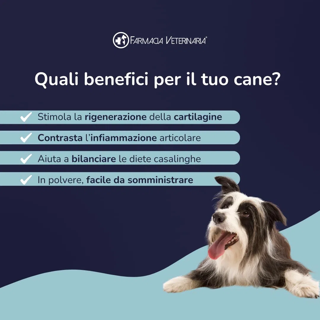 Farmacia Veterinaria Artiflex Integratore Cane Articolazioni in Polvere 500g - Condroprotettori Cane con Condroitina, Glucosamina, MSM, Vitamina C - Made in Italy
