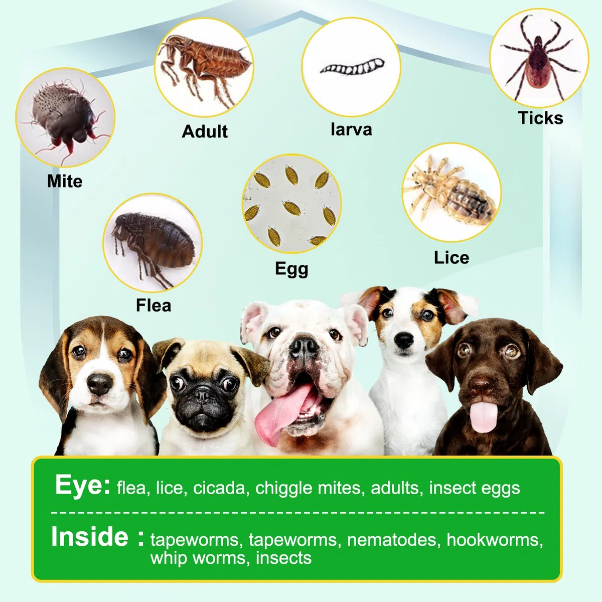 Antiparassitario Cani Pastiglie, Compresse Antipulci Per Cani, Prurito cutaneo, Equilibrio dei lieviti, Allergie, Sistema immunitario e Supporti per la Salute Generale