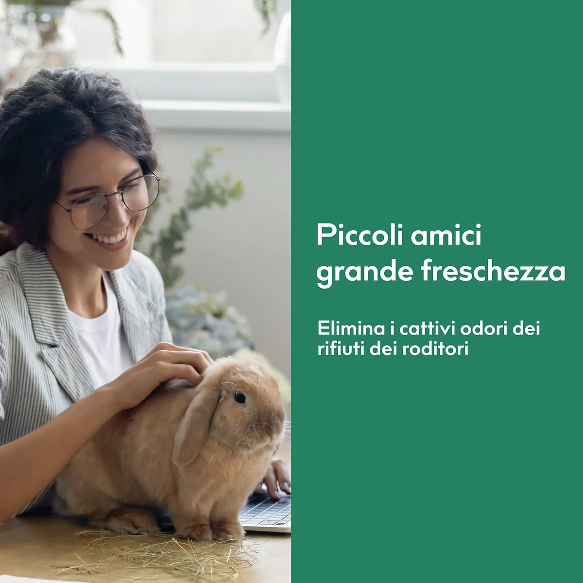 Spray Deodorante per Gabbie di Piccoli Animali – Formula Minerale Inodore – Rimuove l'Odore di Urina da Criceti, Conigli, Porcellini d'India – 266 ml
