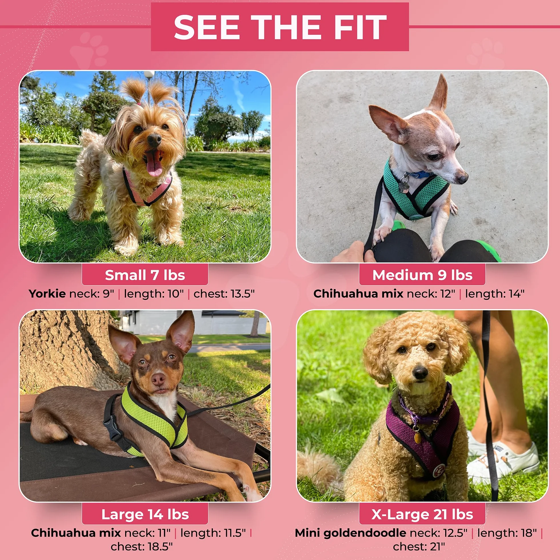 Gooby Choke Free Comfort x Morbido Dog Harness