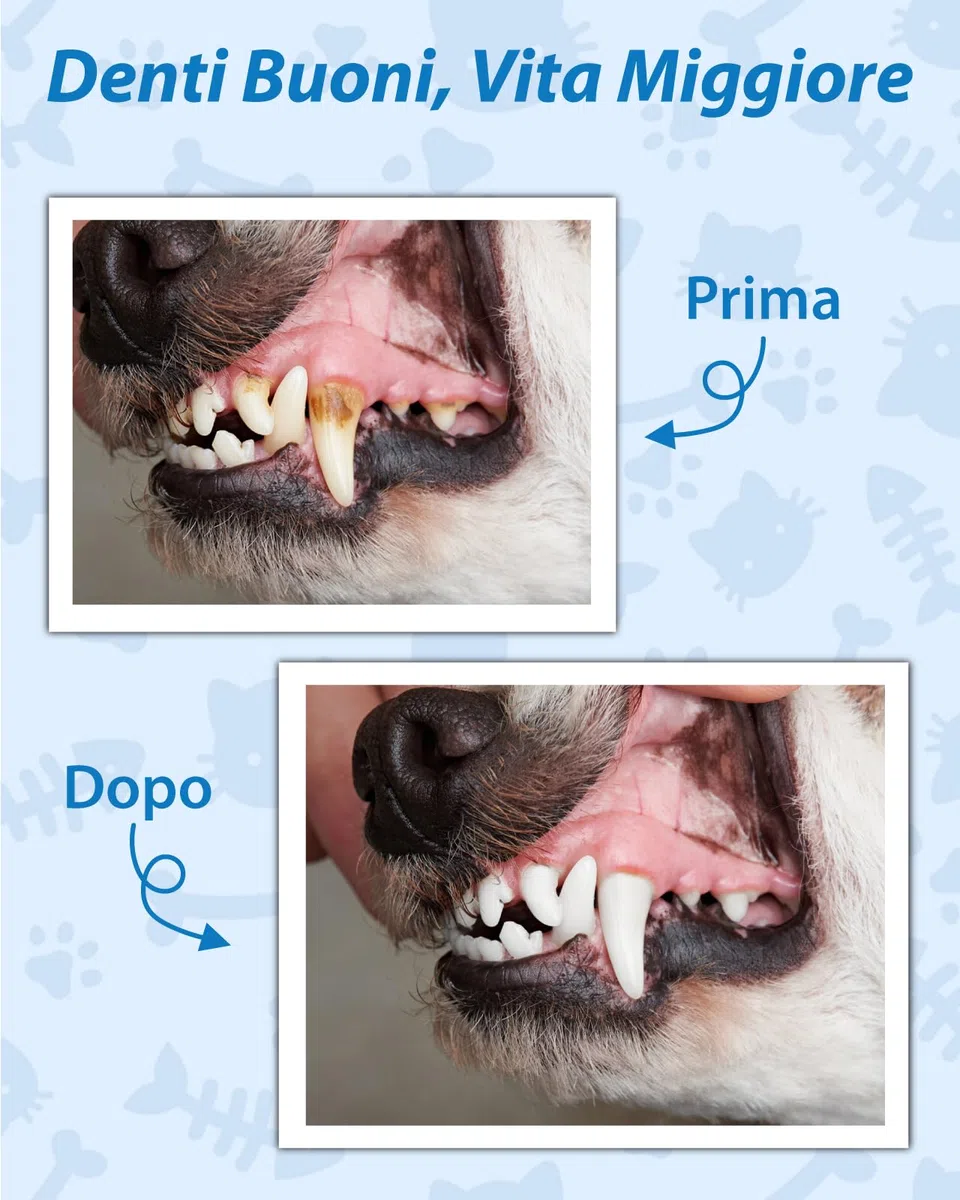 14-in-1 Kit Pulizia Denti Cane - Spazzolino Ultrasuoni Cani con Luce LED, 5 Modalità Elettrico Rimozione Della Placca Dentale per Animali Domestici, Pulisci Togli Tartaro e Macchie per Cani