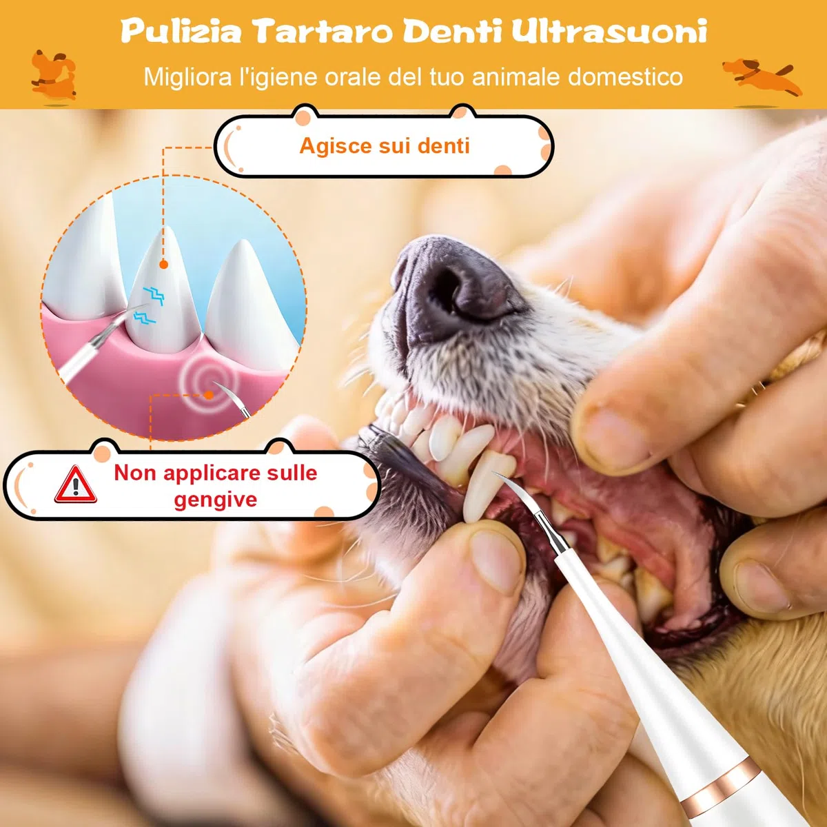 Rimuovi Tartaro Denti Del Tuo Cane, Pulizia Denti Cane, Spazzolino Ultrasuoni Cane, Kit Per L'igiene Dentale Degli Animali Domestici Da 12 Pezzi, 5 Modalità Di Pulizia, Elimina L'accumulo Di Tartaro