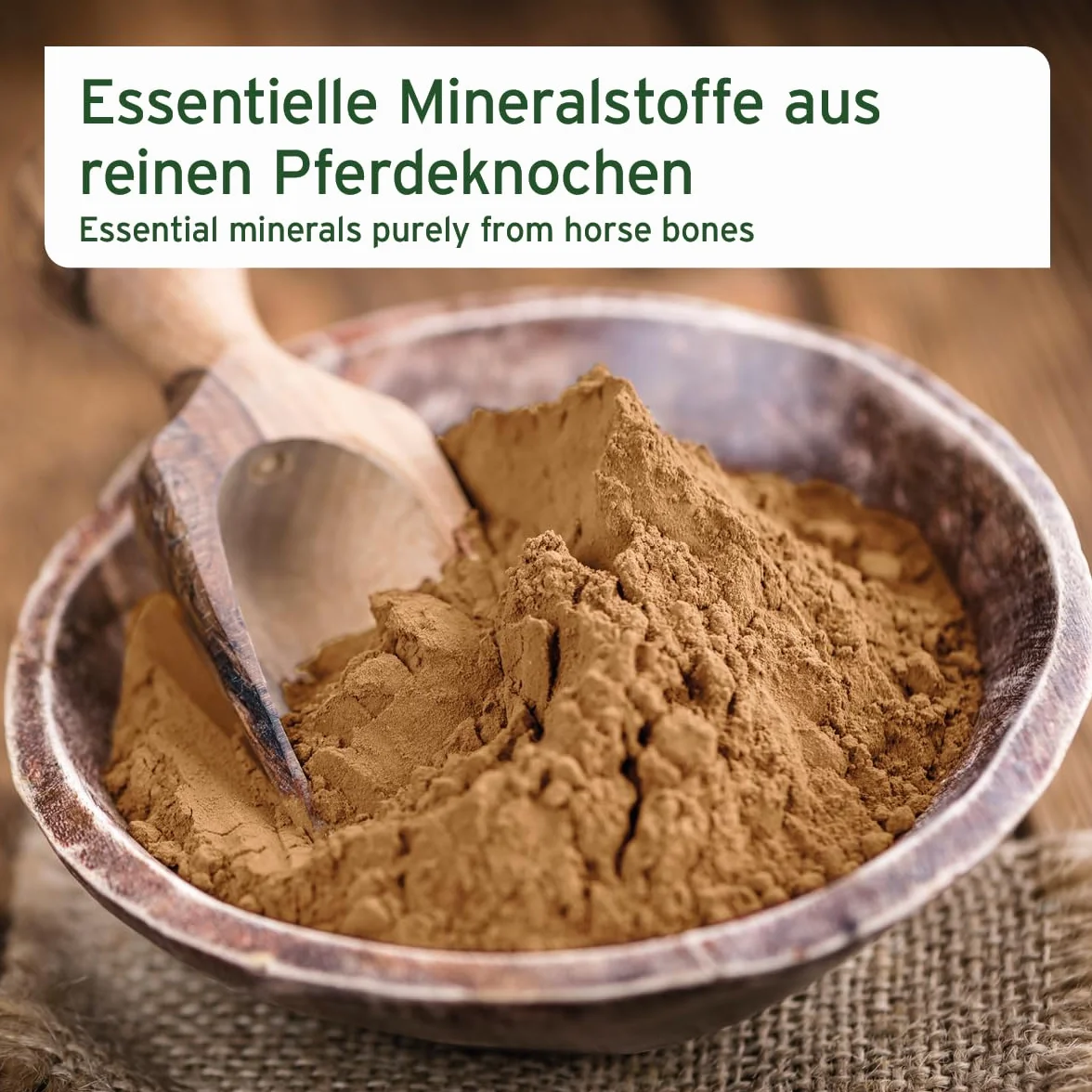 AniForte Ossa macinate di cavallo per cani e gatti 500 g - Calcio naturale per costruzione ossea e articolazioni, farina di ossa pura come mangime e integratore di barba