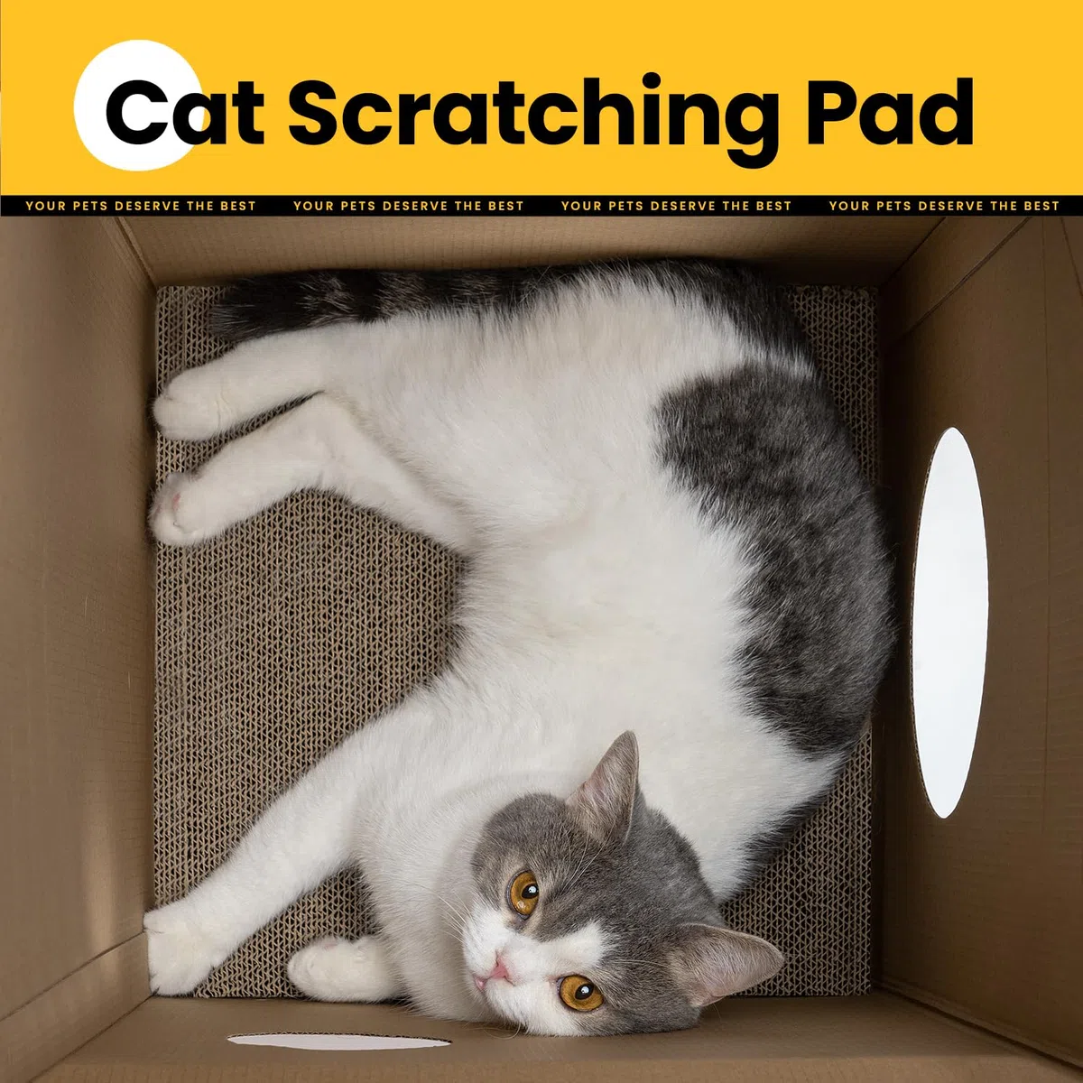 Conlun Cuccia Gatto in Cartone con Tiragraffi per Gatti & Catnip, Casa per Gatti in Cartone Facile da Montare, Adatta a Decorazioni Domestiche, Tiragraffi Gatto Domestici e Piccoli Animali, Medio