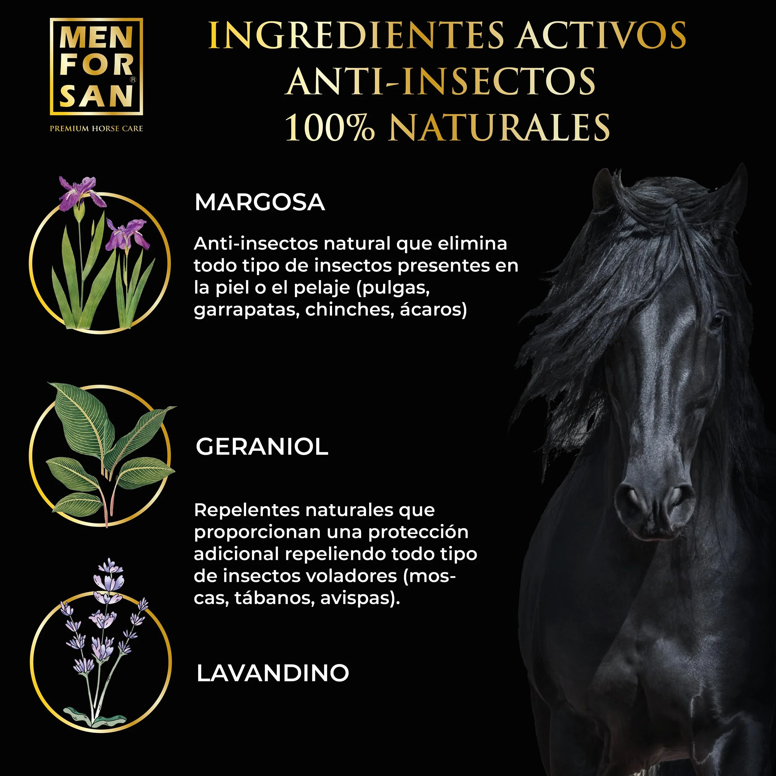 MENFORSAN Shampoo insetto-repellente per cavalli, 1L : Con margosa, geraniolo e lavandina : BIO, 100% naturale : PREMIUM HORSE CARE
