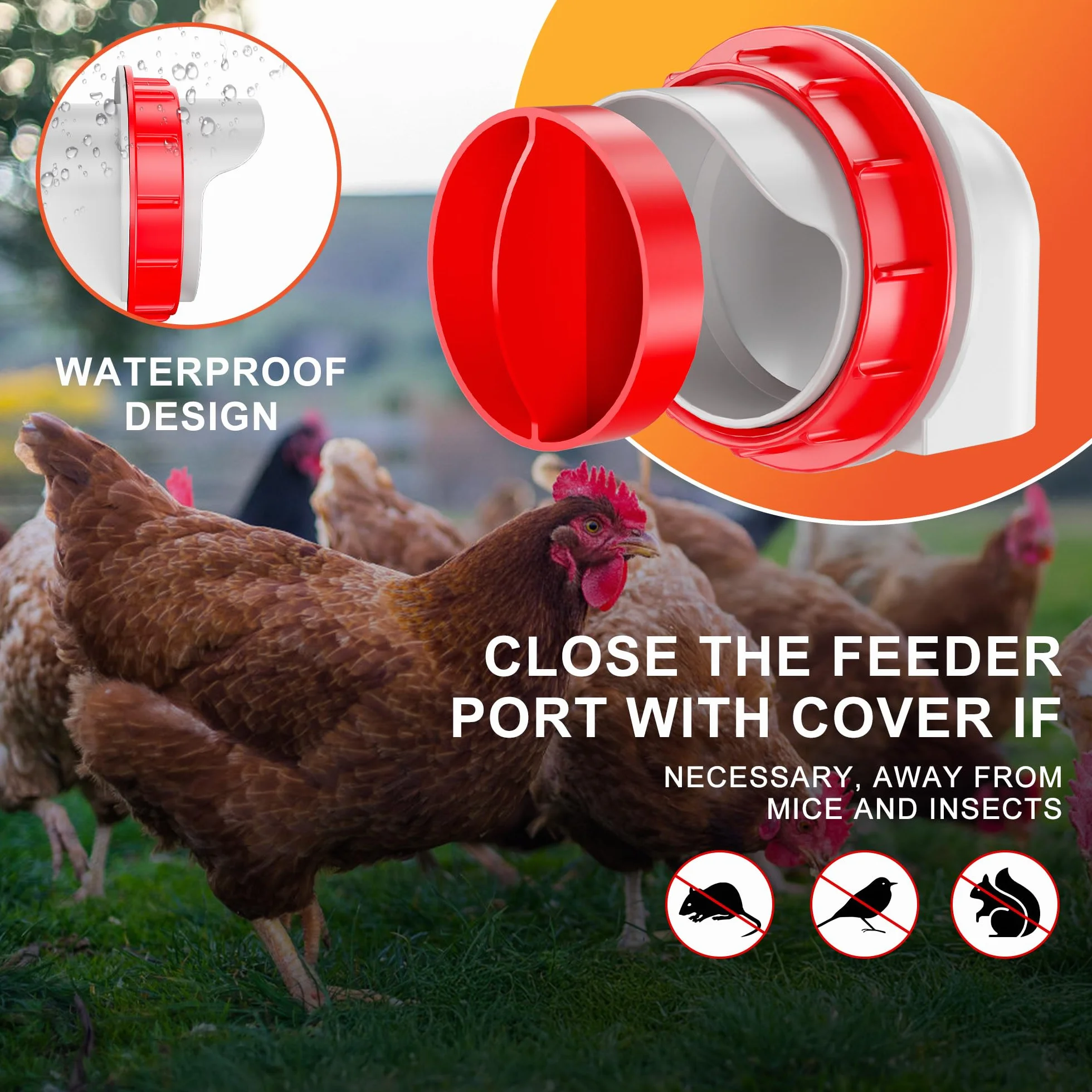 ZenxyHoC Mangiatoie per Galline 6 Porte, Mangiatoia Automatica per Pollame Antispreco, Kit di Alimentazione Gravita per Secchi Barili Bidoni Abbeveratoi