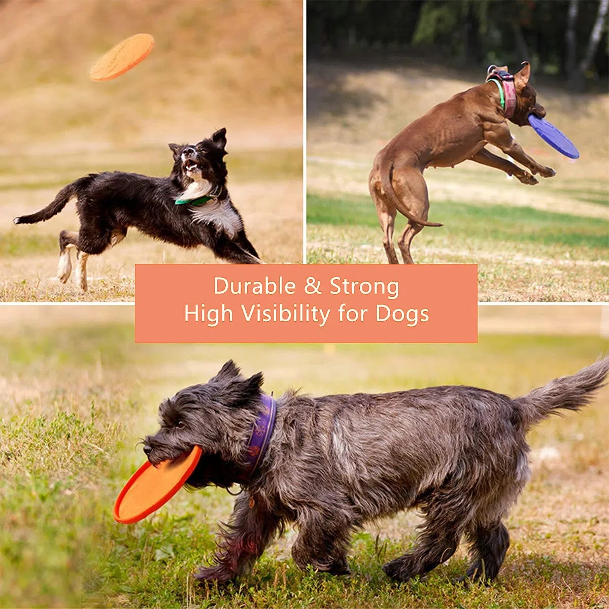 Frisbee per cani, 2 pezzi di giocattolo a disco in gomma, per terra e acqua, sport all'aria aperta, giardini, parchi e bambini (blu + arancione)